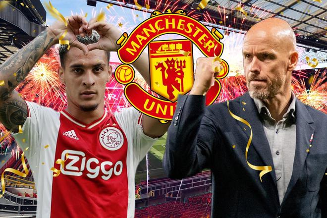 作的原因分 作的原因分